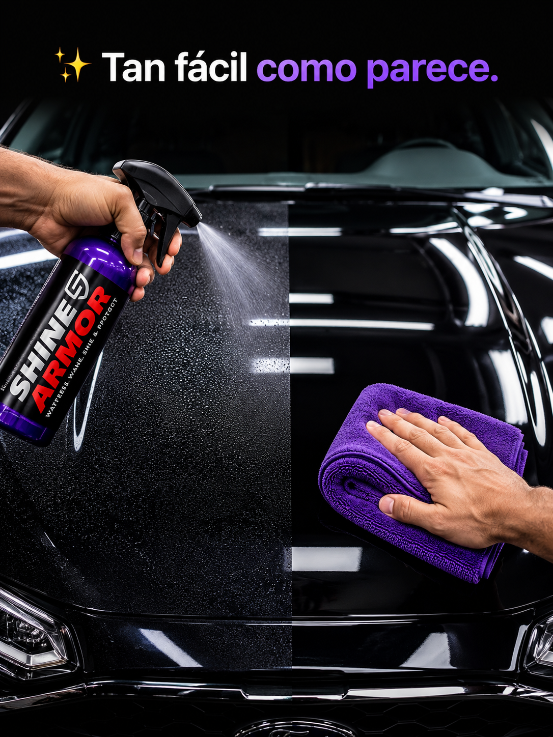 Shine Armor™ Kit Acabado Concesionario ⭐⭐⭐⭐⭐